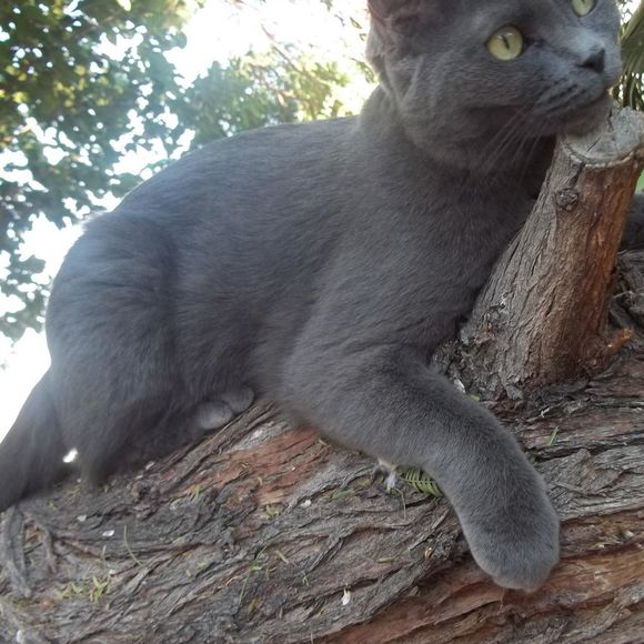 Meet your Posher, C - Picture 1 of 1